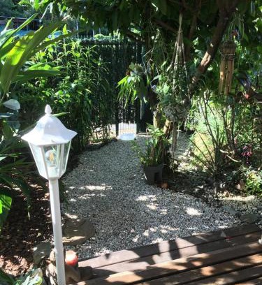 Cayenne Apartment | T1 bis verdoyant