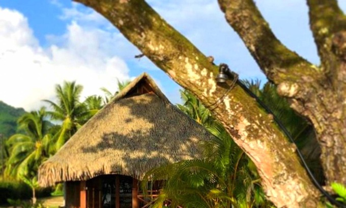 Taha'a Apartment | TAHAA - Bungalow Moana Beach 2