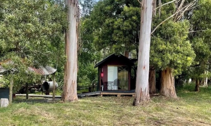Camena Cabin | Take a break and unwind in this peaceful and relaxing bush setting n