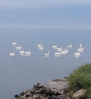 Borgholm House | Takvåning-Borgholm