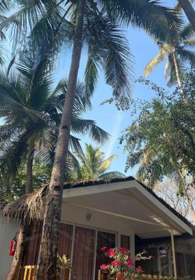 Palolem Hotel | Taste of Nature