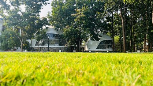 Hazaribagh Other | Tathastu Farms