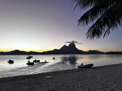 Bora Bora Other | Te Fati Faniu Lodge