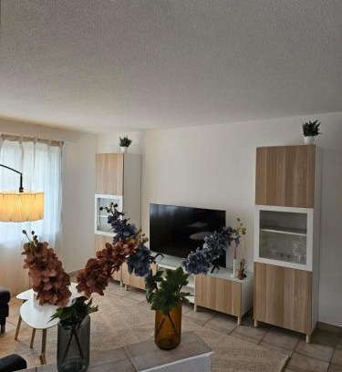 Tegerfelden Apartment | Tegerfelden Weinregion