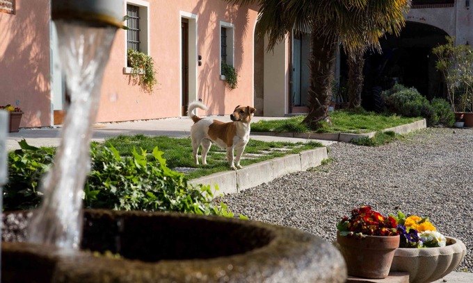 Sillavengo Other | Tenuta Valtoppa