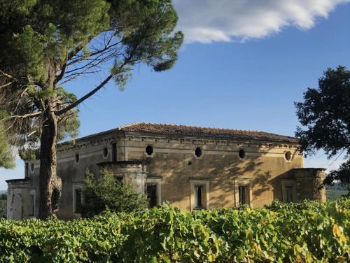 Malvito Apartment | Tenute Pacelli - Azienda Agricola