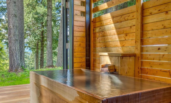 Stevenson Hotel | Tenzen Springs - Cabin 2