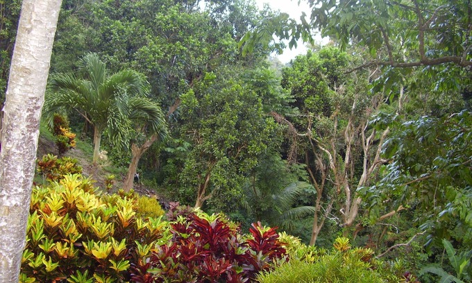 St. Ann's Bay House | Teresinajamaica