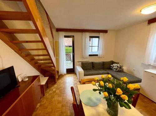 Terme Catez Apartment | Terme Čatež apartma Maestro