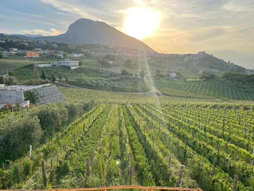 Torrecuso House | Terra Mea