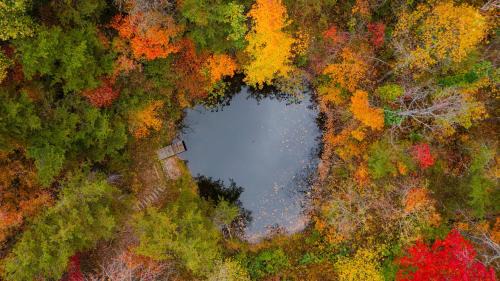 Logan House | The 312 House - A Boho Retreat- Hocking Hills