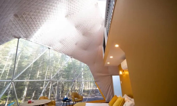 Queens County Cabin | The Bellflower