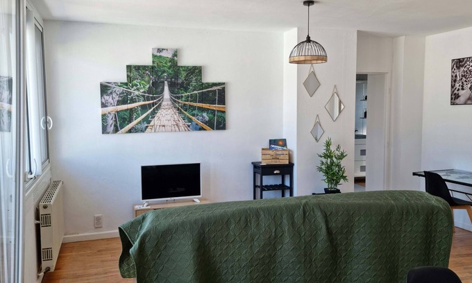 Tarbes Apartment | The "BELVEDERE" Full center, T3, nice view