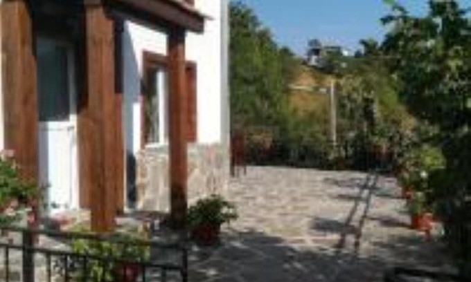 Smolyan House | The Cabbage Patch