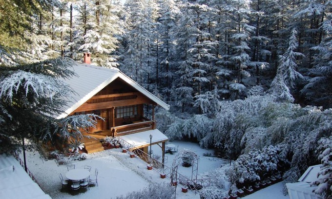 Naldehra Resort | The Chalets Naldehra