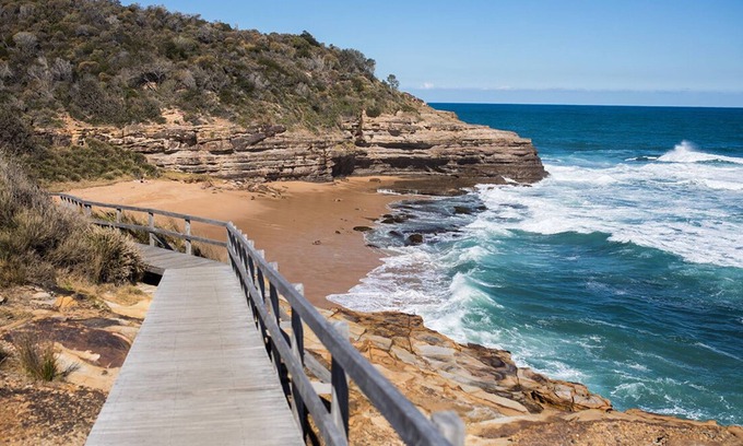 Wagstaffe Apartment | The GRAPEViNE - Bouddi National Park