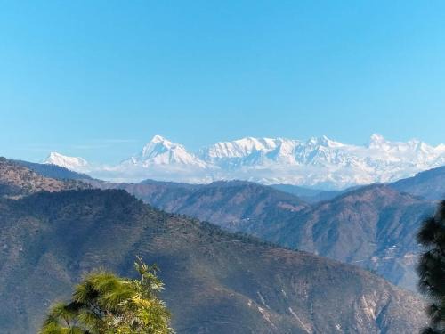 Bajeri House | The Himalayan meadows