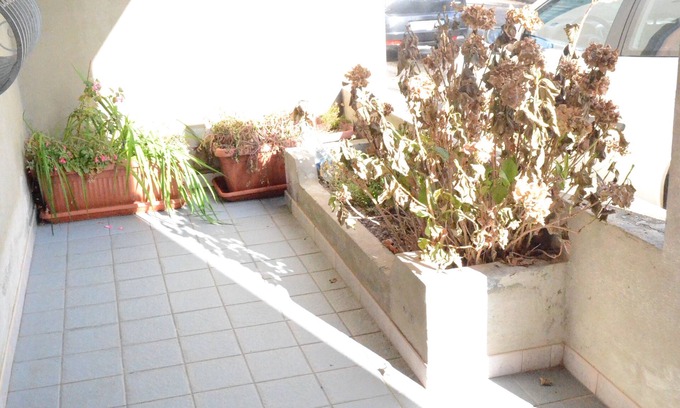 Fonni Apartment | The Holly Cozy apartment for families and small groups!