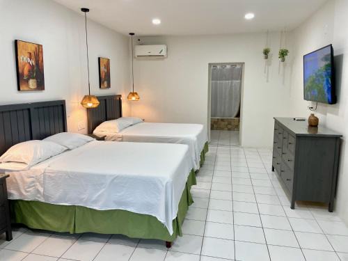 Montego Bay Hotel | The Irie Inn