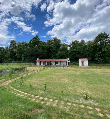 Bhira Resort | The Jungle Verse