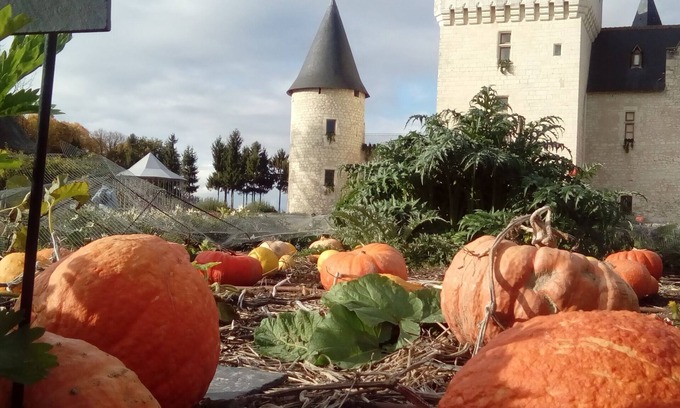 Saint-Avertin House | The lodging of eleven acres in the heart of Touraine