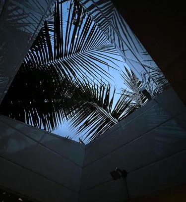 Mangrol Other | The Ocean Edge Homestead