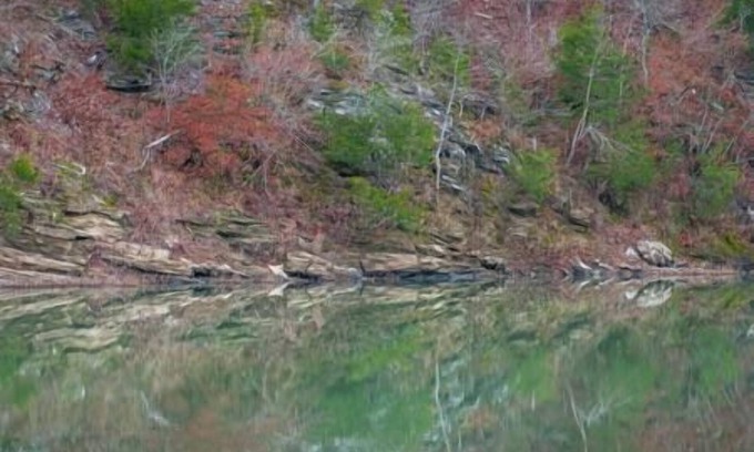 Broken Bow House | The Ranch at River's Bend- Cabin 2- Romantic Retreat