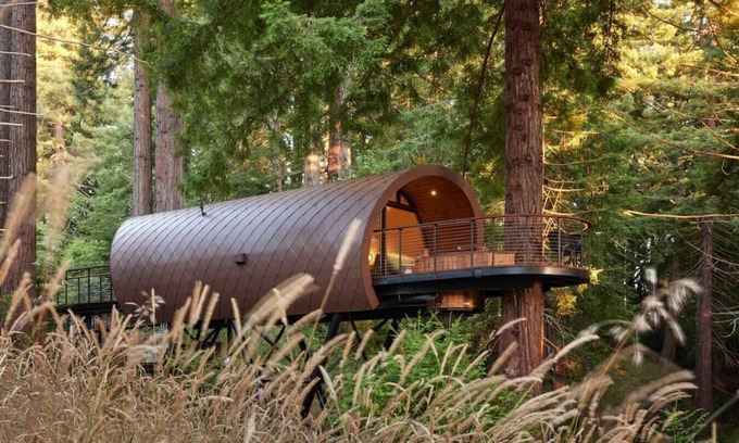 Occidental Apartment | .: The Spectacular Spyglass Treehouse :.