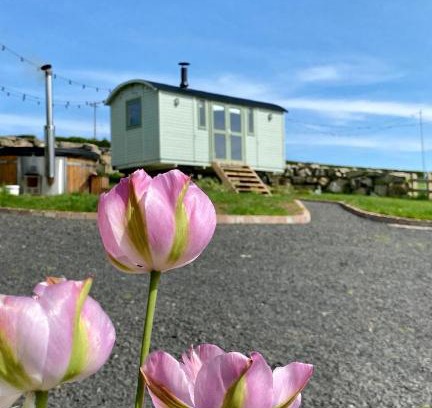 Lisnagunogue Other | The Stone Wall Hideaway