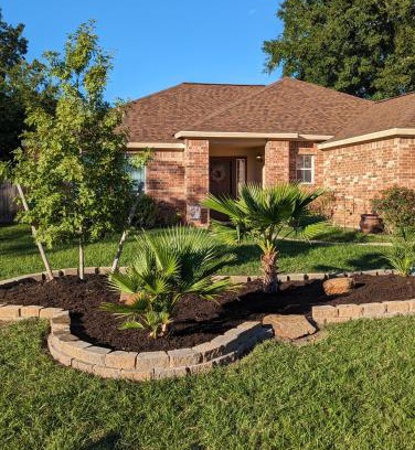 Willis House | The Sunrise Oasis