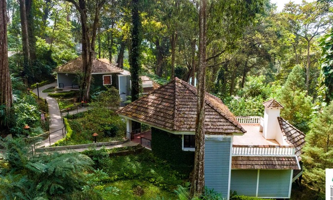 Munnar Hotel | The Tall Trees Munnar