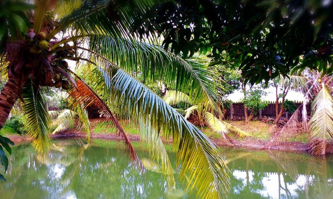 Suphan Buri Hotel | The Zoosk Resort