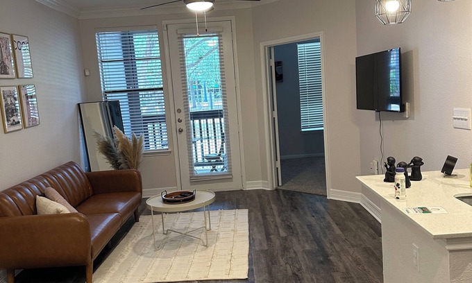 South Central Houston Apartment | theme Paris Apartmentn/Midtown great Location !/Minutes from NRG Stadium/