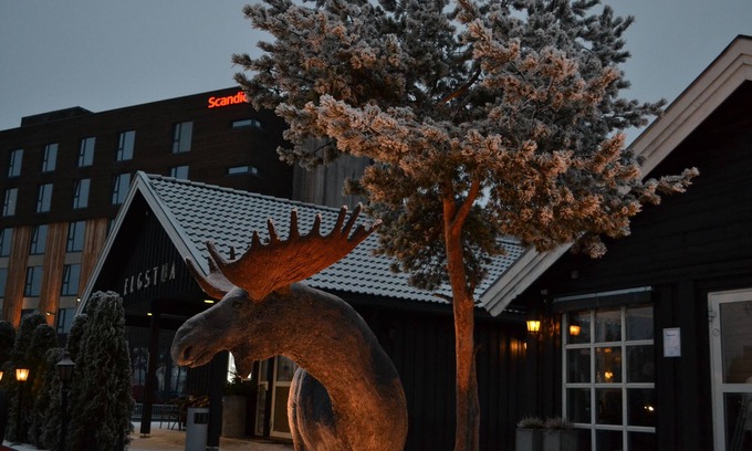 Loten Municipality Hotel | Thon Partner Elgstua