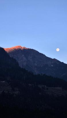 Manali Resort | Thrill Venture Manali Stays End to End Himachal Experience, Explore at your Pace! A true Hidden Gem