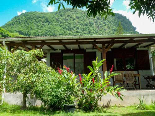 Riviere-Sens Apartment | Ti Kaz Houelmont, Vue jardin tropical, proche plage de Rivière-Sens