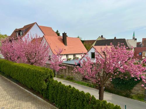 Herzogenaurach Apartment | Time Out Apartments