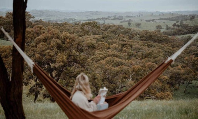 Merton Cabin | Tiny Max