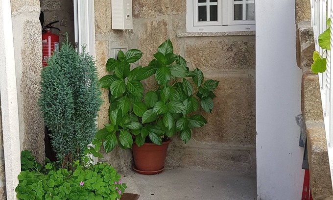 Gouveia House | Tipical home in the Sierra de Gouveia