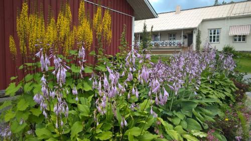 Alavus House | Tohninmäen Talo
