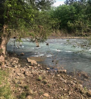 Pelsor Other | Toms Branch Campground