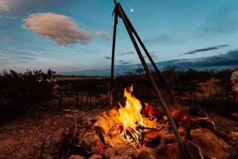 Van Horn Other | Top Camp Sites at Desert Gardens Oasis at Lobo, Texas