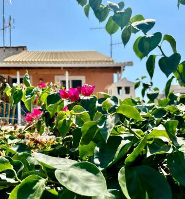 Notos Apartment | Traditional Corfiot House