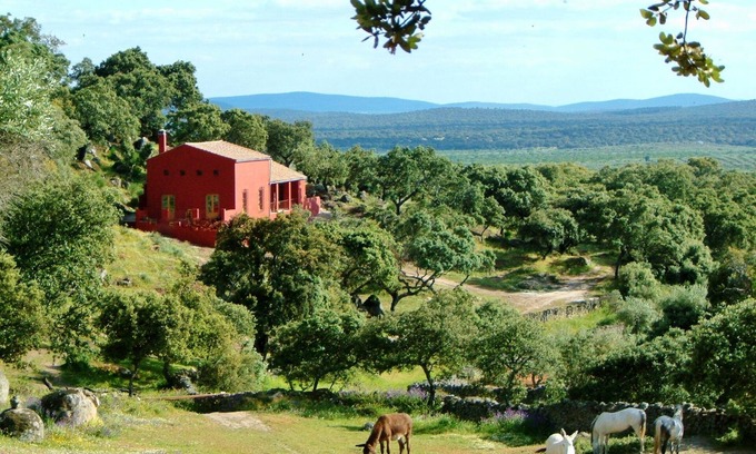 Montanchez Other | Traditional spacious cortijo surrounded by peaceful nature with lovely pool