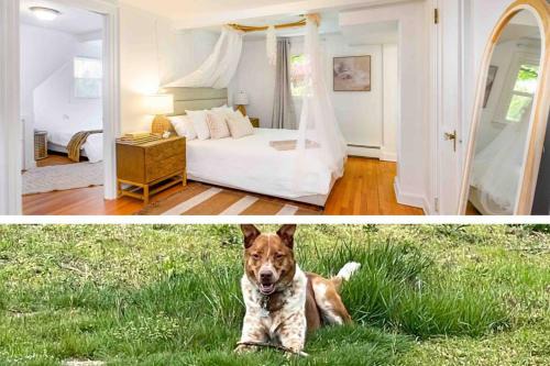 North Haven House | Trail-side Haven Retreat! Pet friendly