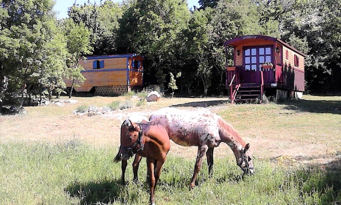 Blandas House | Trailer hire between the Cevennes and the Circus Navacelle La Bleue