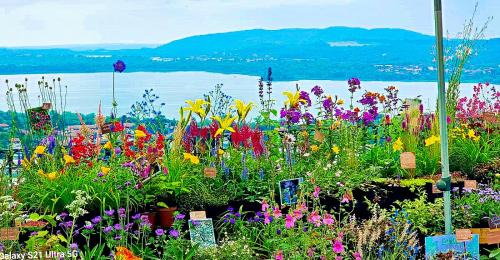 Comerio Bed & Breakfast | TraMonti e Laghi - Charming Rooms