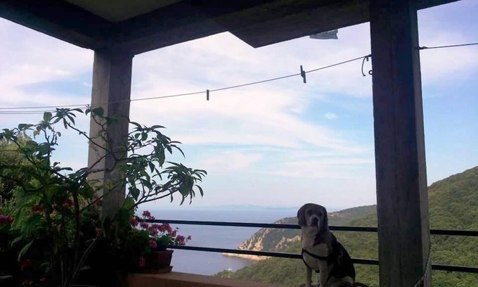 Marciana Apartment | Tranquility and spectacular views