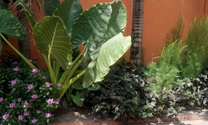 Ukonga House | Transit Motel Ukonga