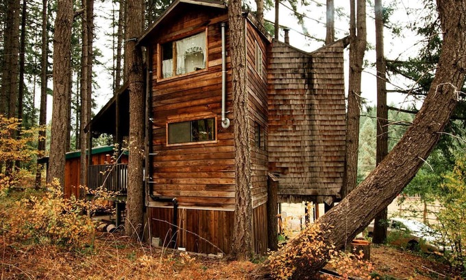 White Salmon Cabin | Tree House Style Cabin Nestled at the Foot of Scenic Snow-Capped Mt. Adams, Washington